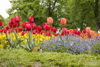 Wilhelma 26.04.2014
